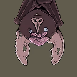 Moon Bats #4612