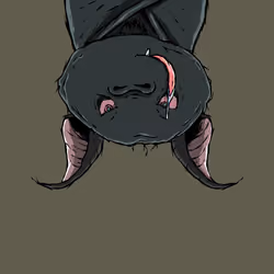 Moon Bats #3948
