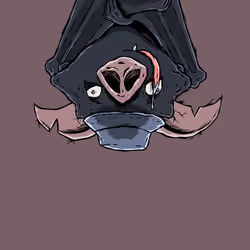 Moon Bats #5891