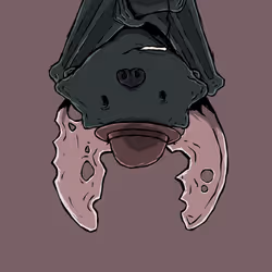 Moon Bats #5440