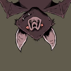 Moon Bats #4528