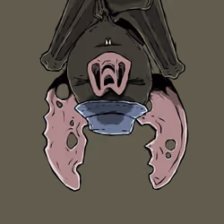 Moon Bats #4617
