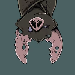 Moon Bats #2102