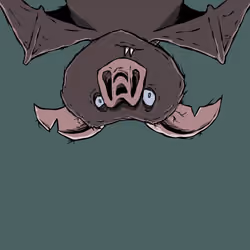 Moon Bats #1556