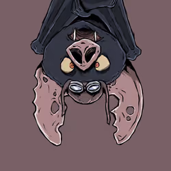 531