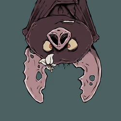 Moon Bats #4904