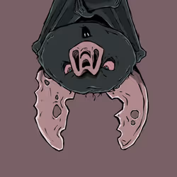 Moon Bats #8802