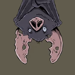 Moon Bats #1263