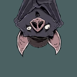 Moon Bats #7113