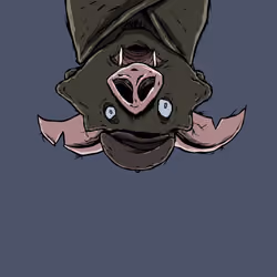 Moon Bats #8643