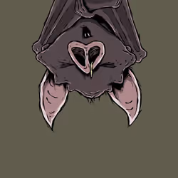 Moon Bats #2858