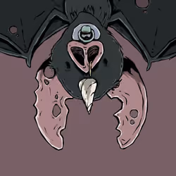 Moon Bats #669