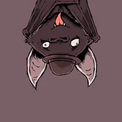 516