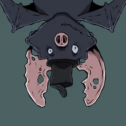 Moon Bats #1757