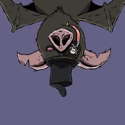 Moon Bats #7588
