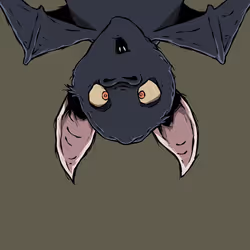 Moon Bats #4782