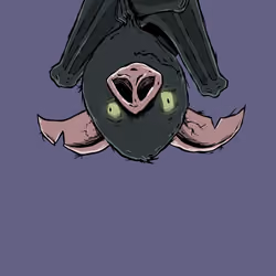 Moon Bats #3521
