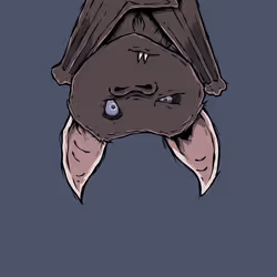 9720