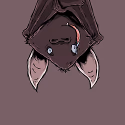 Moon Bats #8433