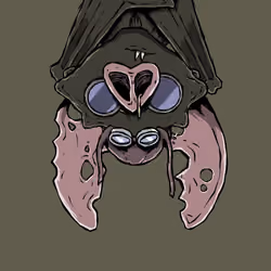 Moon Bats #2865