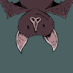 Moon Bats #8470