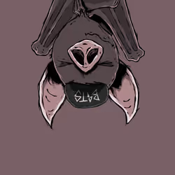 Moon Bats #2600