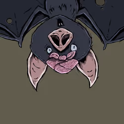 Moon Bats #1960