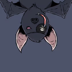 1246