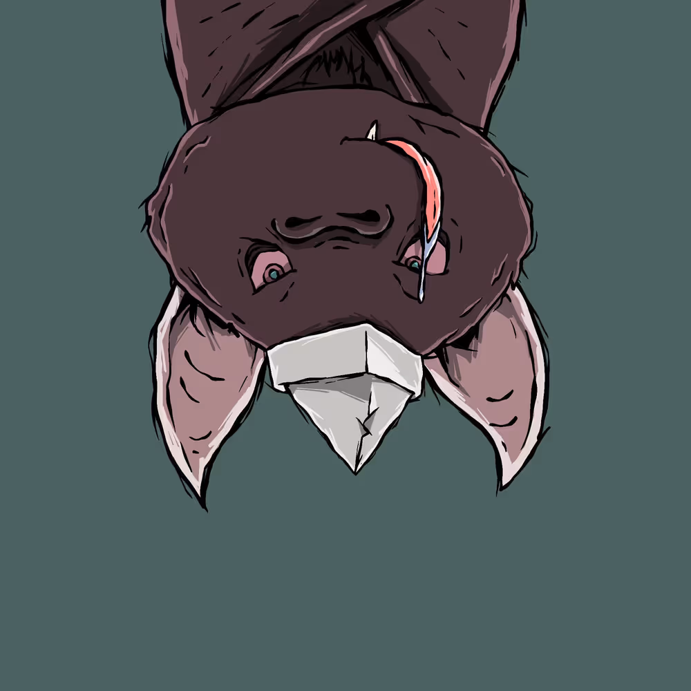 Moon Bats #9974