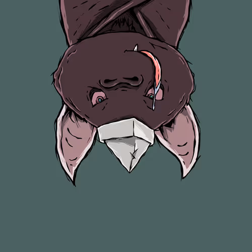 Moon Bats #9974