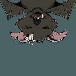 Moon Bats #1996