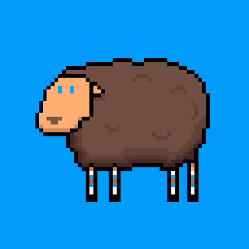Shaggy Sheep
