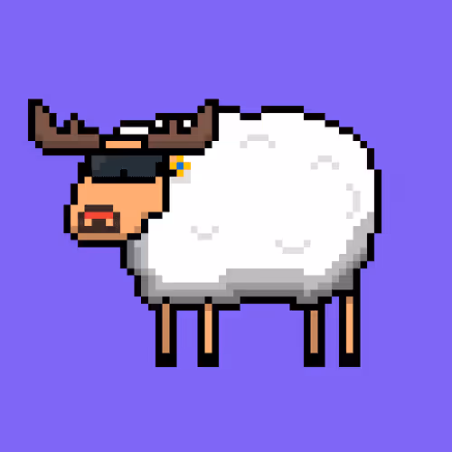 Shaggy Sheep