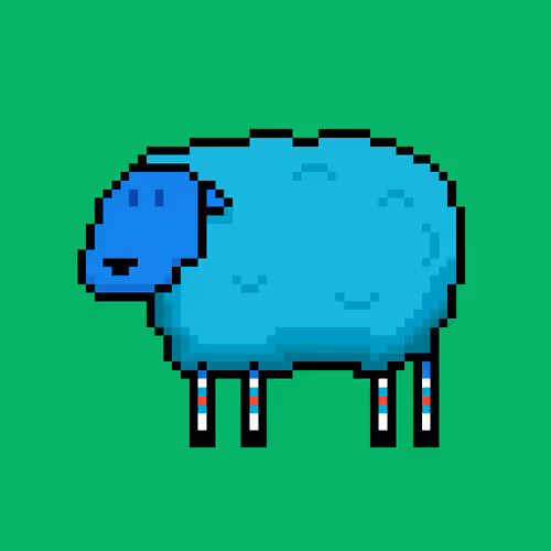 Shaggy Sheep