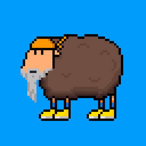 Shaggy Sheep