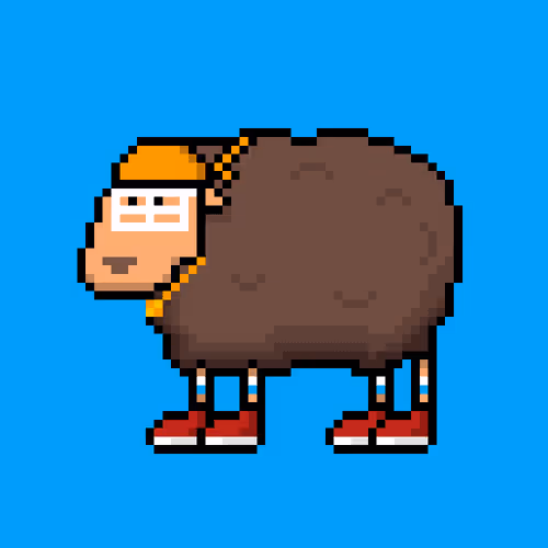 Shaggy Sheep