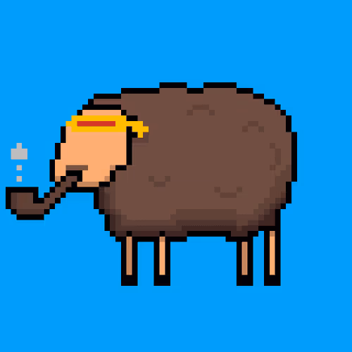 Shaggy Sheep