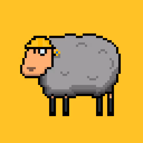 Shaggy Sheep