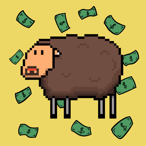 Shaggy Sheep