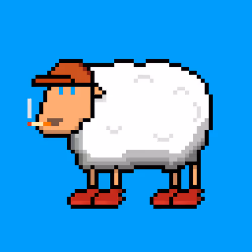 Shaggy Sheep