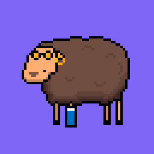 Shaggy Sheep
