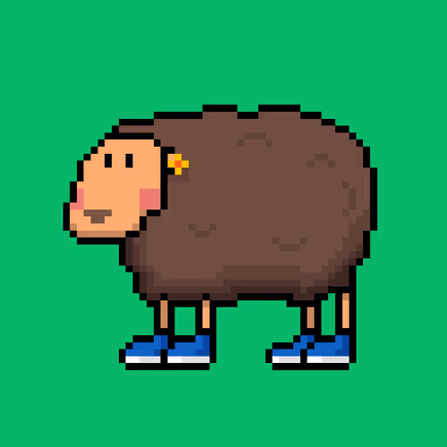 Shaggy Sheep