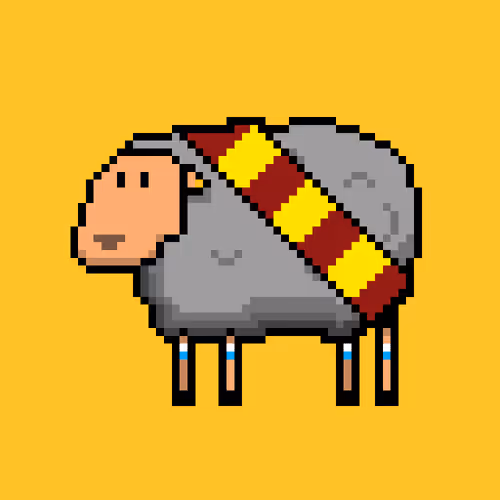 Shaggy Sheep