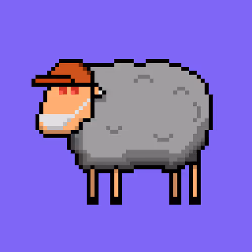 Shaggy Sheep