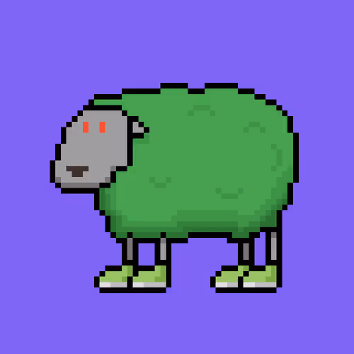Shaggy Sheep