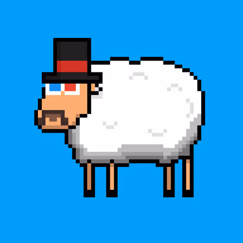 Shaggy Sheep