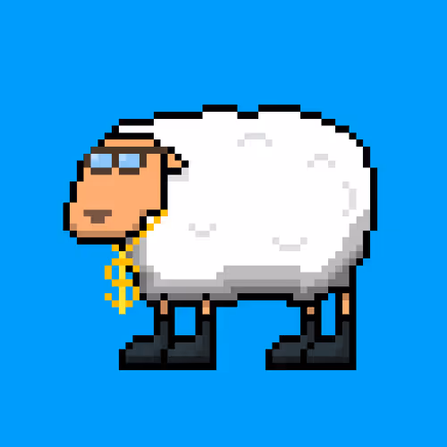 Shaggy Sheep
