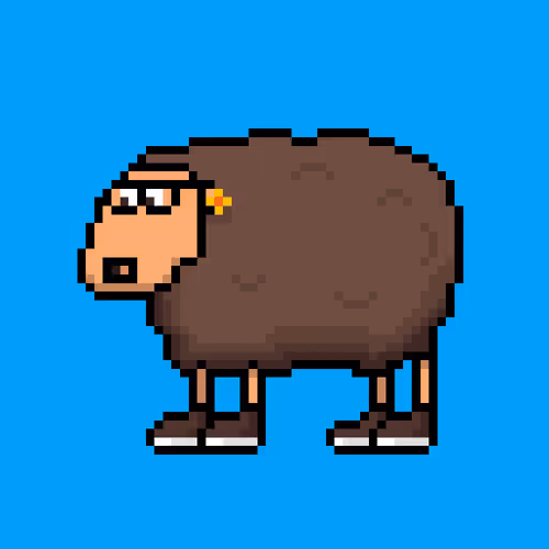 Shaggy Sheep