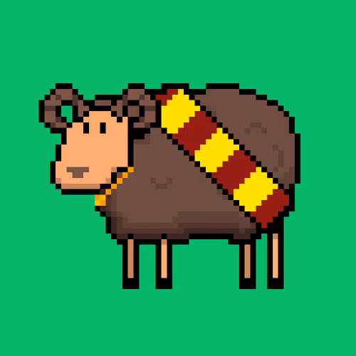 Shaggy Sheep