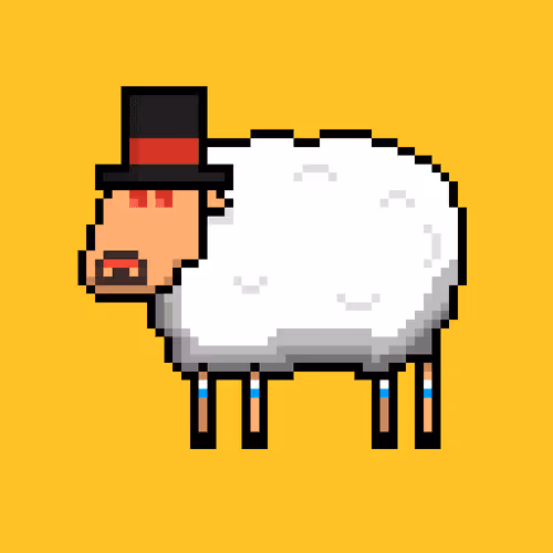 Shaggy Sheep